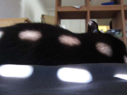 20110704 175740